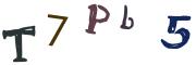 Bild-CAPTCHA