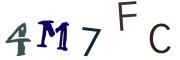 Bild-CAPTCHA