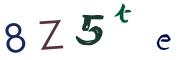 Bild-CAPTCHA