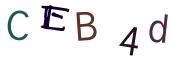 Bild-CAPTCHA