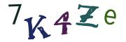 Bild-CAPTCHA