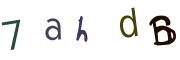 Bild-CAPTCHA