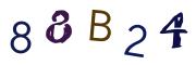 Bild-CAPTCHA