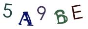 Bild-CAPTCHA
