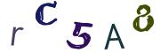 Bild-CAPTCHA