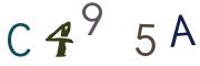 Bild-CAPTCHA