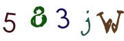 Bild-CAPTCHA