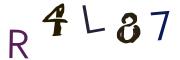 Bild-CAPTCHA