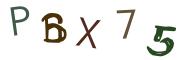 Bild-CAPTCHA
