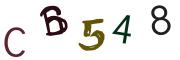 Bild-CAPTCHA