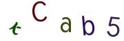 Bild-CAPTCHA
