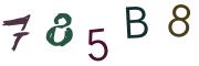 Bild-CAPTCHA