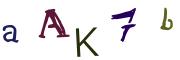 Bild-CAPTCHA
