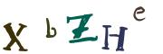 Bild-CAPTCHA
