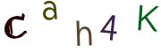 Bild-CAPTCHA