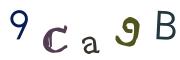 Bild-CAPTCHA