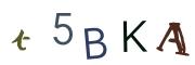 Bild-CAPTCHA