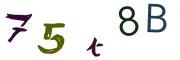 Bild-CAPTCHA