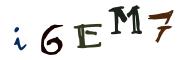 Bild-CAPTCHA