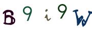 Bild-CAPTCHA