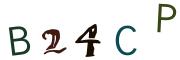 Bild-CAPTCHA