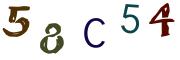 Bild-CAPTCHA