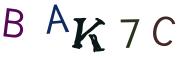 Bild-CAPTCHA
