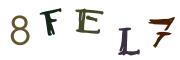 Bild-CAPTCHA