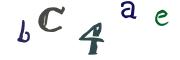 Bild-CAPTCHA