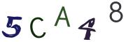 Bild-CAPTCHA