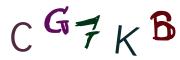 Bild-CAPTCHA