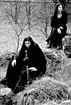 Dargaard 
 
""Eternity" is only a word made by mortals too. 
I see the dissolution, the return of chaos 
and maybe the rise of a new order?" 
...