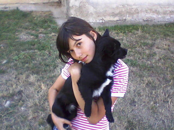 me and my dog