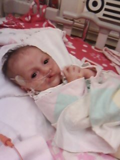 baby girl
