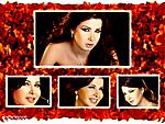 NANCY aJRAM LEAFES
