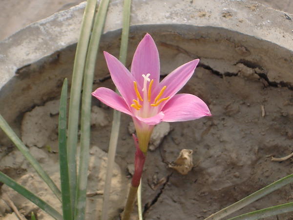 DSC07495