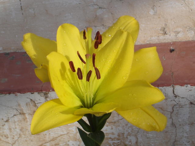 DSC07765