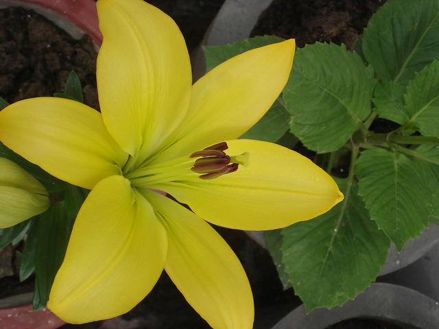 DSC07768