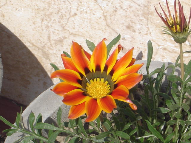 DSC07777