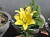 DSC07780