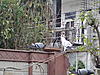 DSC07788