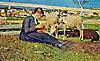 Segantini-  Ragazza che fa la calza