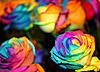 pretty2