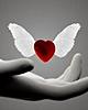Love Flys By