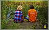 You've Got a Friend in Me by Randy Newman