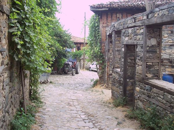100 3309
Bursa