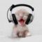silverbullet's Avatar
