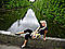 ania_brs's Avatar