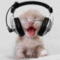 kedicik's Avatar