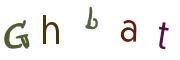 Image CAPTCHA
